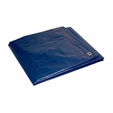 Foremost Tarp 8 ft x 10 ft Tarp, Blue 80810